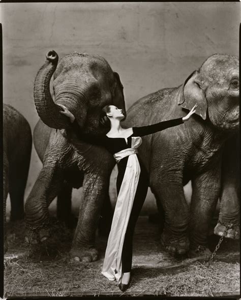 dovima with elephants evening dress by dior